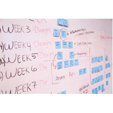 220: Project Portfolio Management 